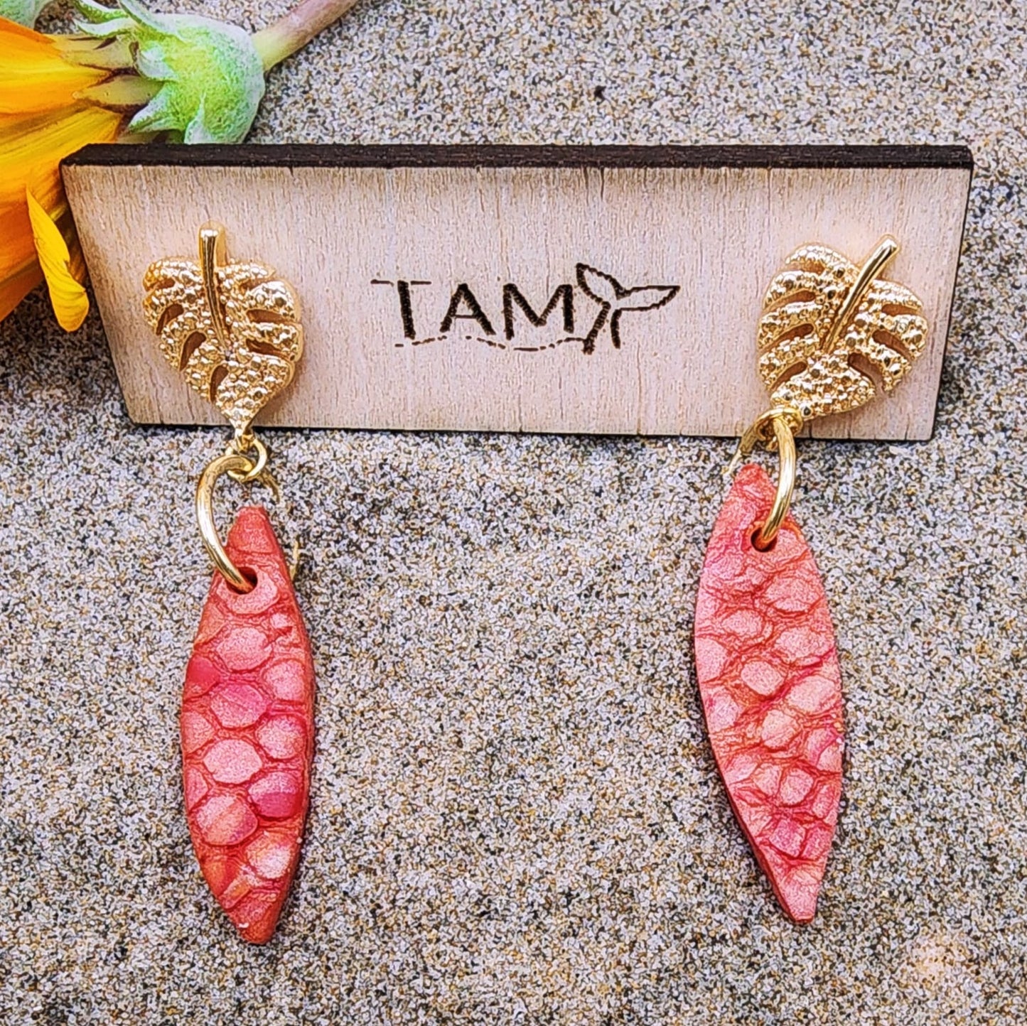 Pendientes Bahia Inglesa